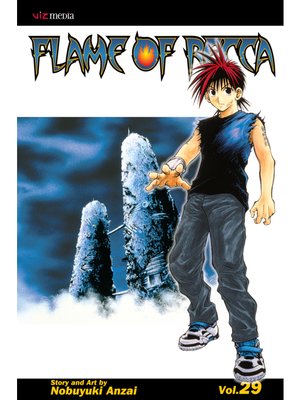 cover image of Flame of Recca, Volume 29
